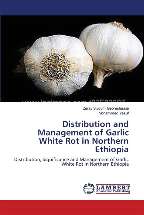 Buy Distribution and Management of Garlic White Rot in Northern ...