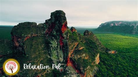 Relax 的图像结果