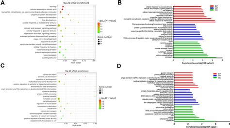 Image result for Go Annotation Analysis Step