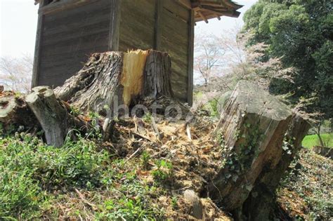 Image result for Differet Files Types in Computer