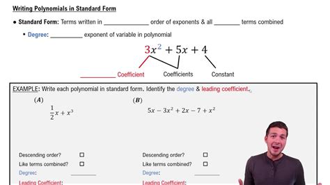 Math Polynomials Basics 的图像结果