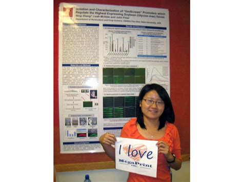 Image result for Research Poster Examples Computer Science