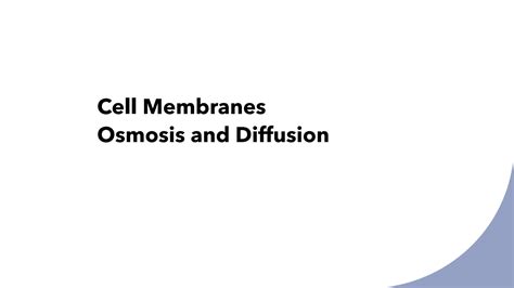 Image result for Diffusion Digestive System