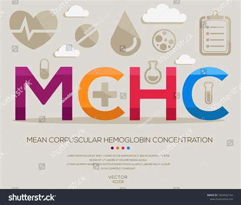 Mchc Mean Medical Acronyms Letters Icons Stock Vector (Royalty Free) 1839432154 | Shutterstock