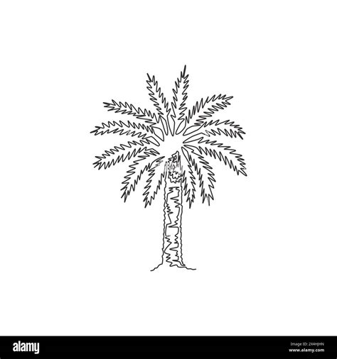 Single continuous line drawing of beauty and big phoenix dactylifera tree. Decorative date palm ...