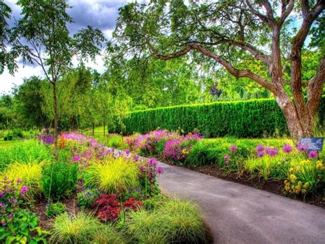 Image result for Garden Sheds at Lowe's