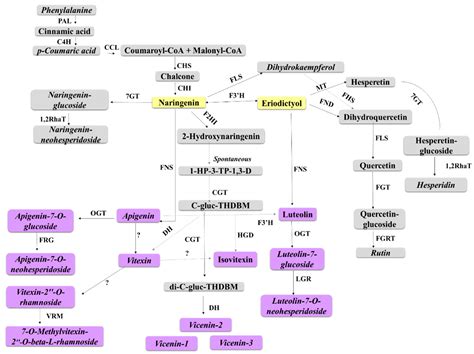 Untargeted Metabolomics Reveal Defensome-Related Metabolic ...