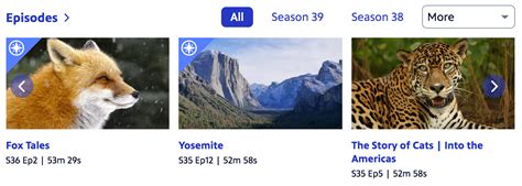 Image result for Pbs.org Activate Code