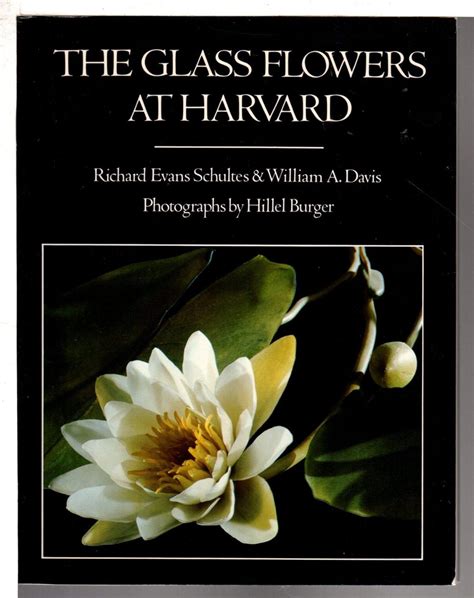 The Glass Flowers at Harvard: Richard Evans Schultes: 9780525477112 ...