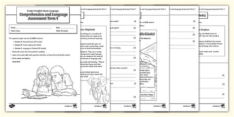 Grade 8 English Home Language: Comprehension and Language Assessment Term 1