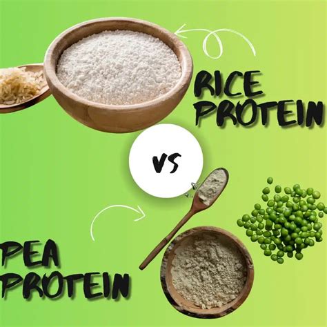 Rice Protein vs Pea Protein: 2025's Ultimate Plant Power!