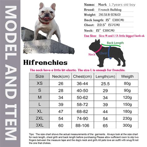 French Bulldogs Sizes at William Justice blog