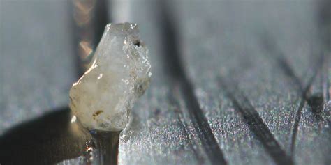 S and P Flex | Alfa Laval