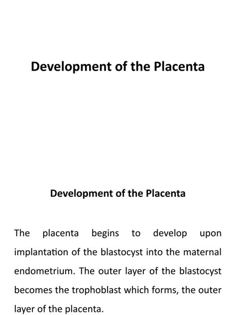 Placenta Development Notes Anatomy 的图像结果