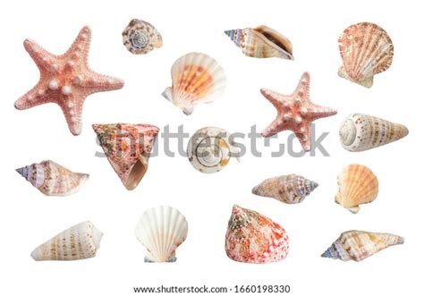 Sea Clip Art 的图像结果