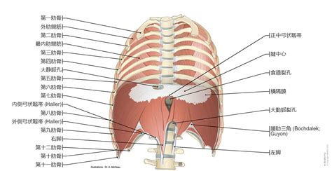 Image result for Structures of Pattern