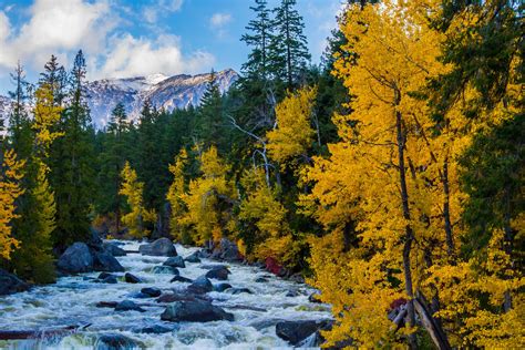 Washington Fall Colors 的图像结果