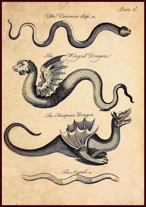 Hic Sunt Dracones Tattoo