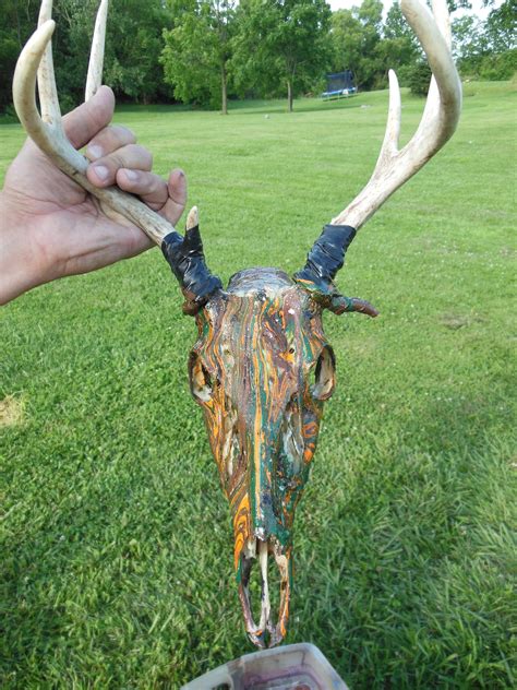 Cool Deer Skull Mounts