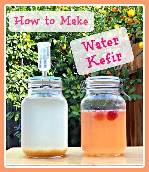 What Is Water Kefir at Jamie Heyne blog
