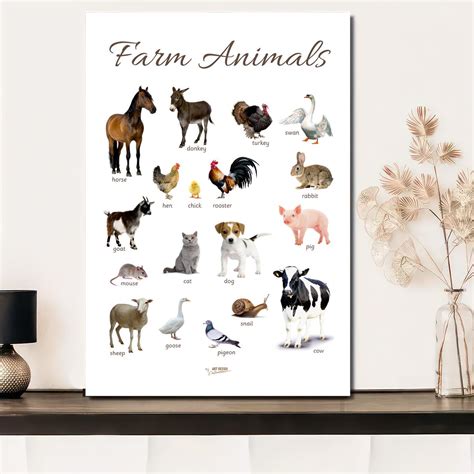 Canvas Poster Preschool Map Preschool Education Poster Animals Children ...