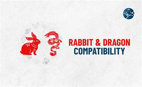 Rabbit and Snake Compatibility - Rabbit Snake Compatibility