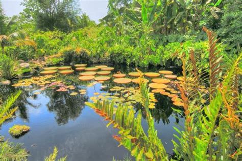 Coral Gables Tourism (2024): Best of Coral Gables, FL - Tripadvisor