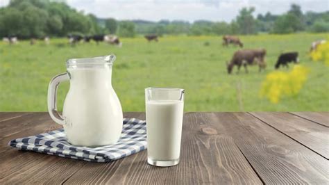 What is Buffalo Milk Nutrition Facts? – NutritionFact.in