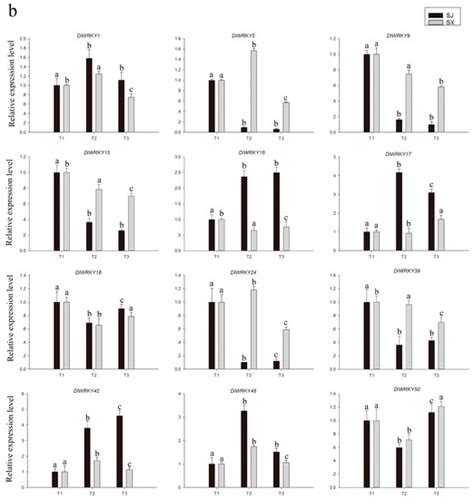 Identification of WRKY Gene Family from Dimocarpus longan and Its ...