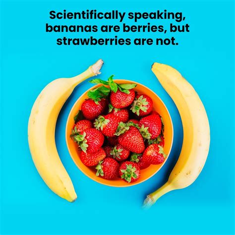 Interesting Fact On Science 的图像结果