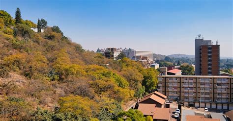 WordPress Local Development Environment 的图像结果