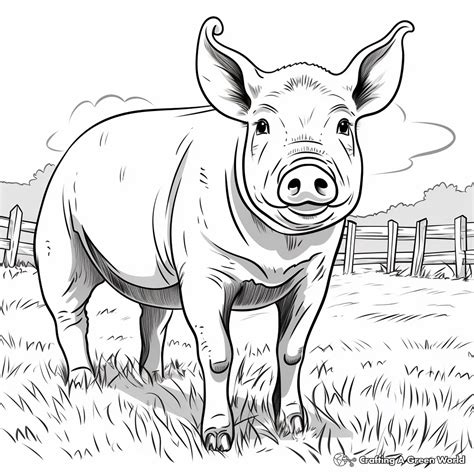 Realistic Farm Animal Coloring Pages - Free & Printable!