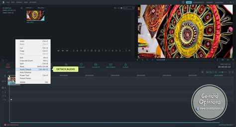 How to Remove Unwanted Audio from A Video In 6 Easy Steps | Candid Opinions