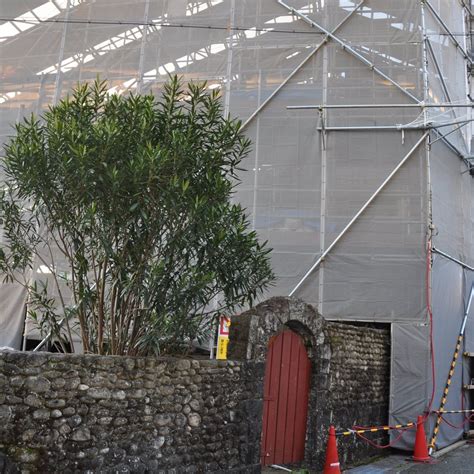 Old Nishimura House - Nishimura Memorial Museum, Shingu - Tripadvisor