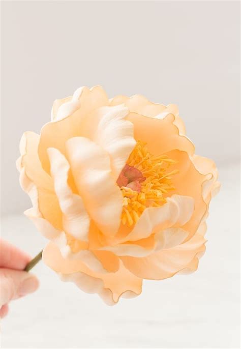 Image result for Gumpaste Flower Tutorial