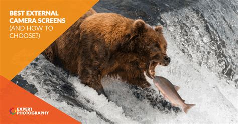 Image result for External Camera View