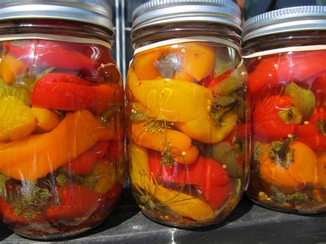 5 Easy Steps To Canning Peppers - Off The Grid News