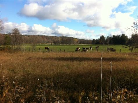 Propulsion Rafting - Riviere Rouge (Grenville-sur-la-Rouge) - 2021 What ...