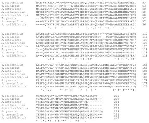 Enzymatic Antioxidant Signatures in Hyperthermophilic Archaea