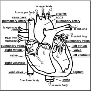 Image result for Heart Rate Sensor Raspberry Pi