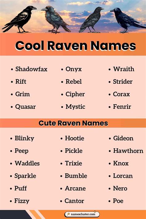 100+ Male Female Famous and Fantasy Raven Names