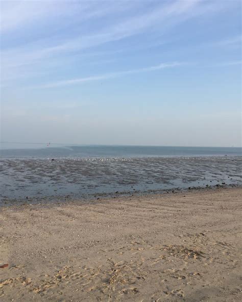 SHUWAIKH BEACH (2025) All You Need to Know BEFORE You Go (with Photos ...