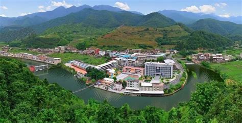 安溪网站建设引领中小企业数字化转型