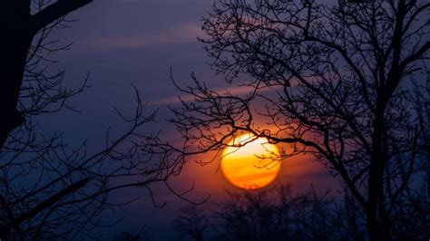 Blue Lock Chapter 295: Mashine City Vs Barcha Begins; Recap, Release ...