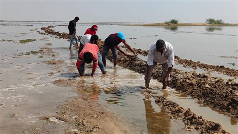 2024: Dam Induced Floods in India – SANDRP