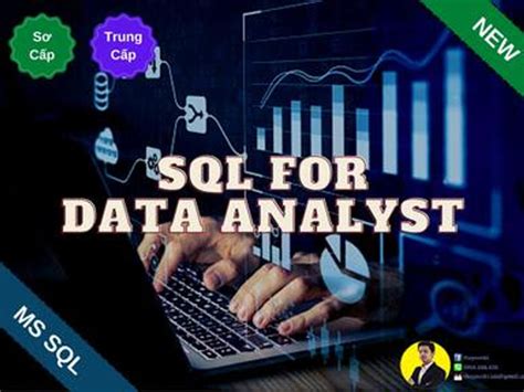 SQL Data Analyst 的图像结果