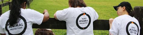 About us | World Animal Protection India
