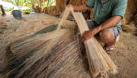 Compression Molding Process Coconut Fiber 的图像结果