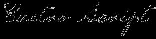 Image result for Castro Script Font