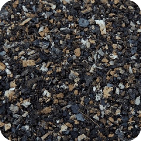 Succulent & Cactus Soil Media Mix 900 gm pack